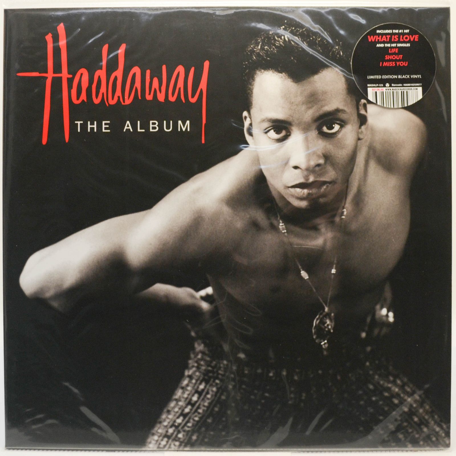 Haddaway — The Album, 1993