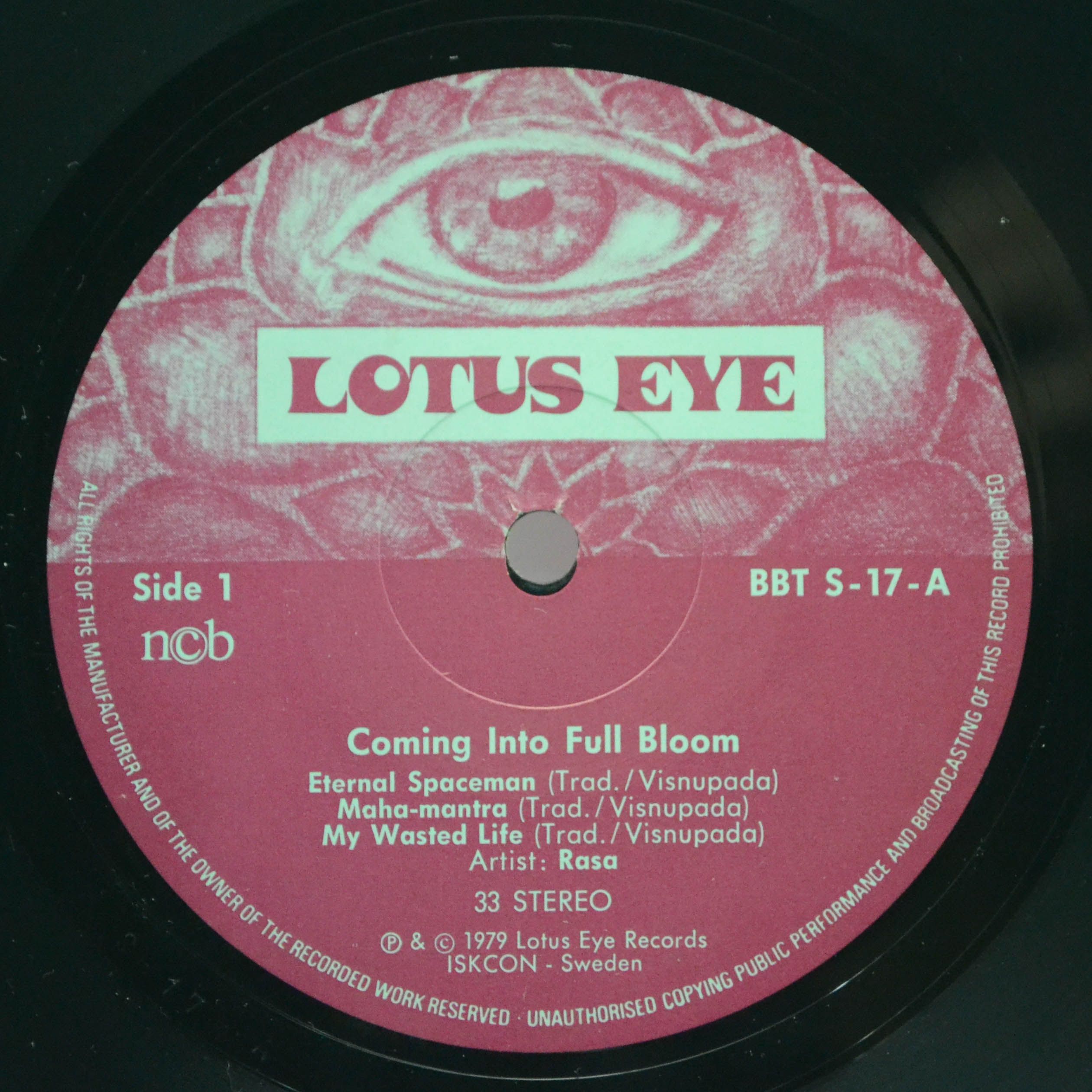 Rasa — Coming Into Full Bloom, 1979