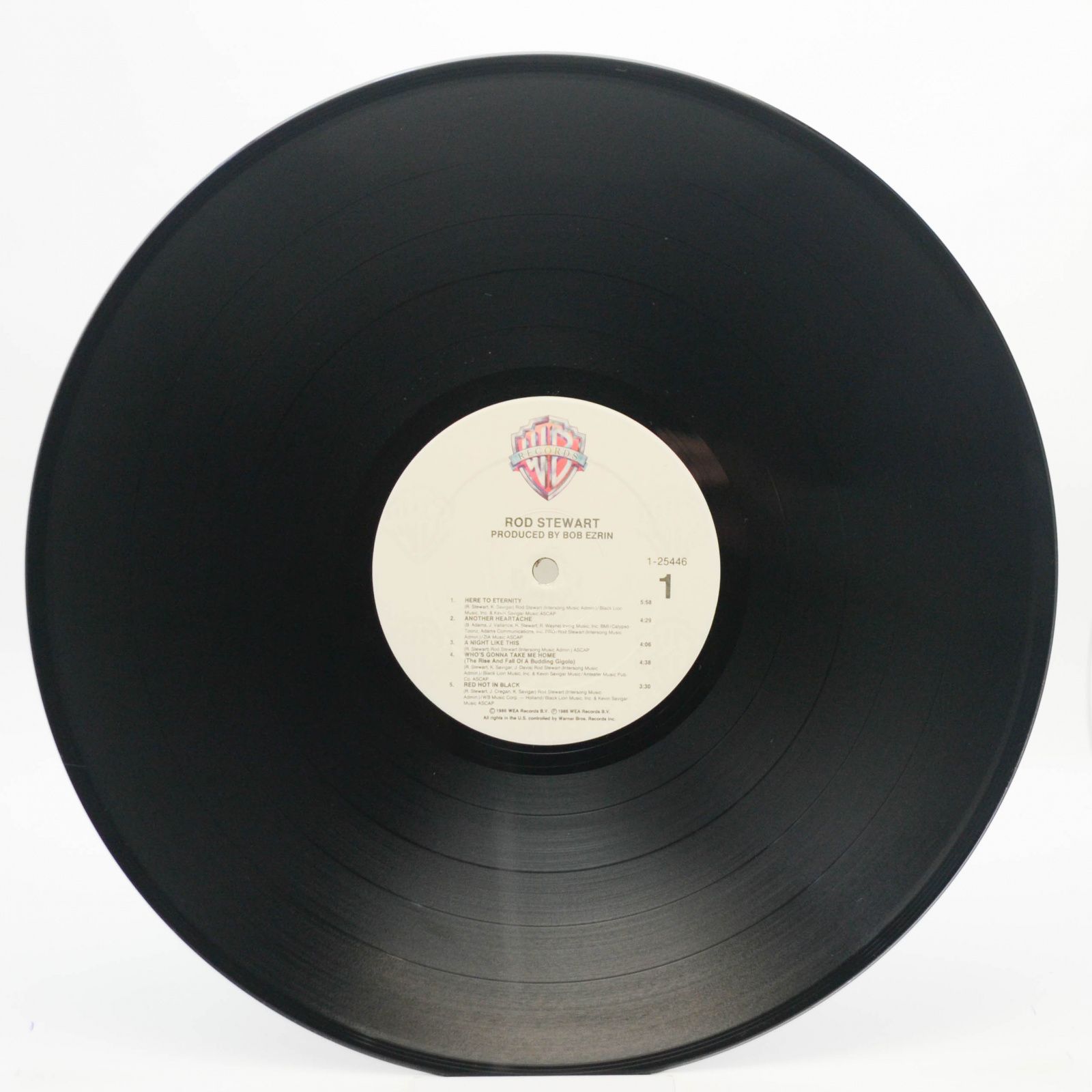 Rod Stewart — Rod Stewart (USA), 1986