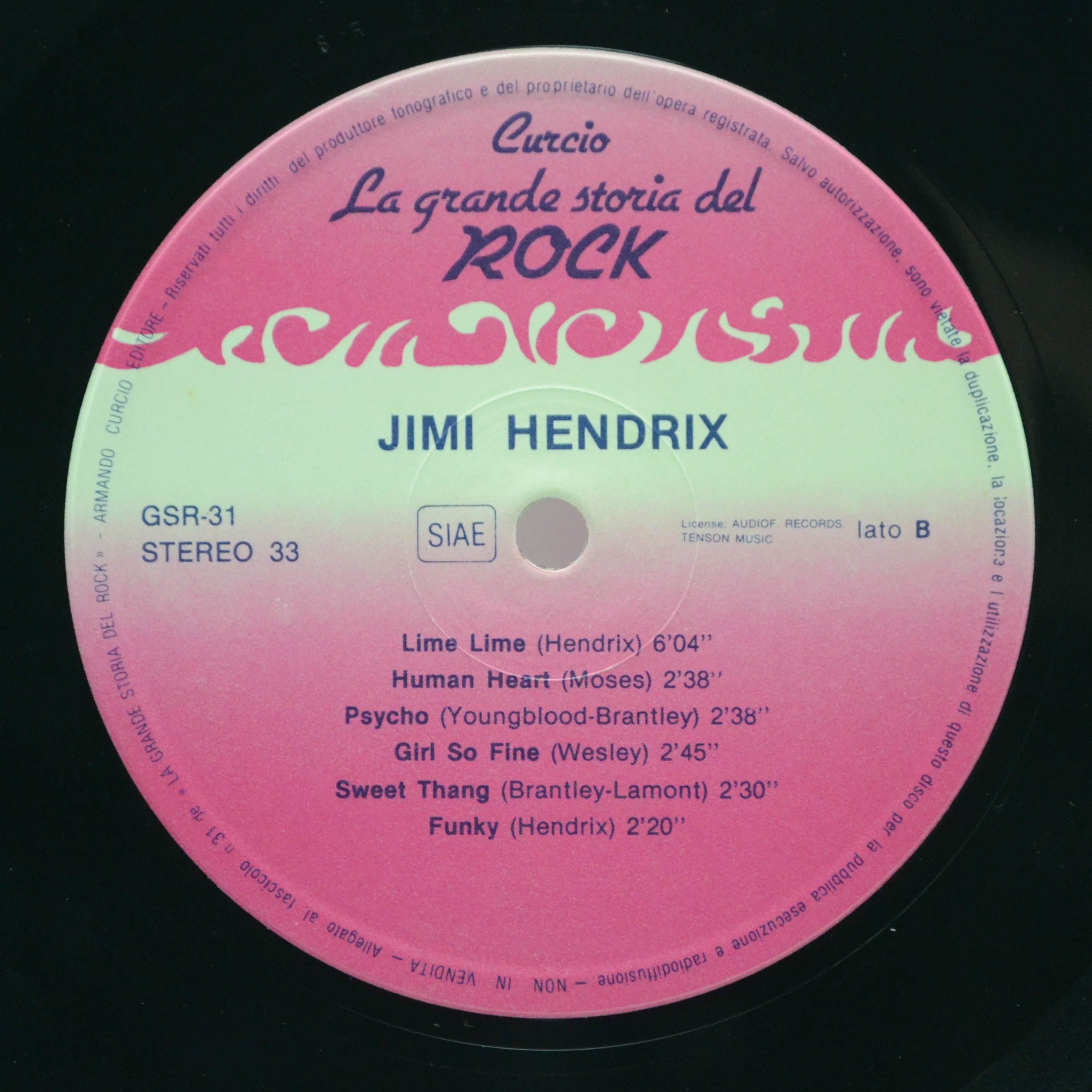 Jimi Hendrix — Jimi Hendrix, 1981