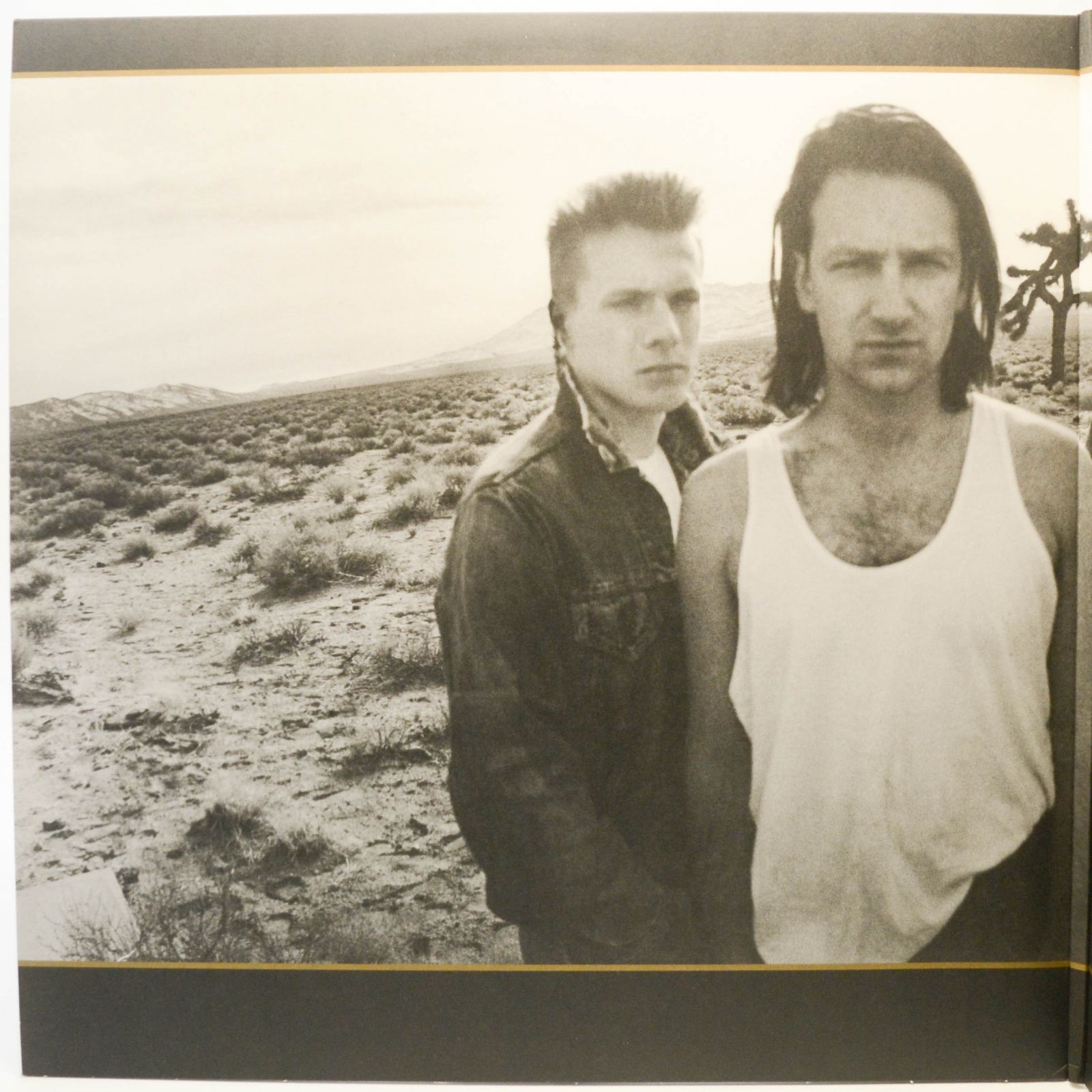 U2 — The Joshua Tree (2LP), 1987