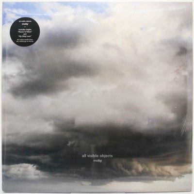 All Visible Objects (2LP), 2020