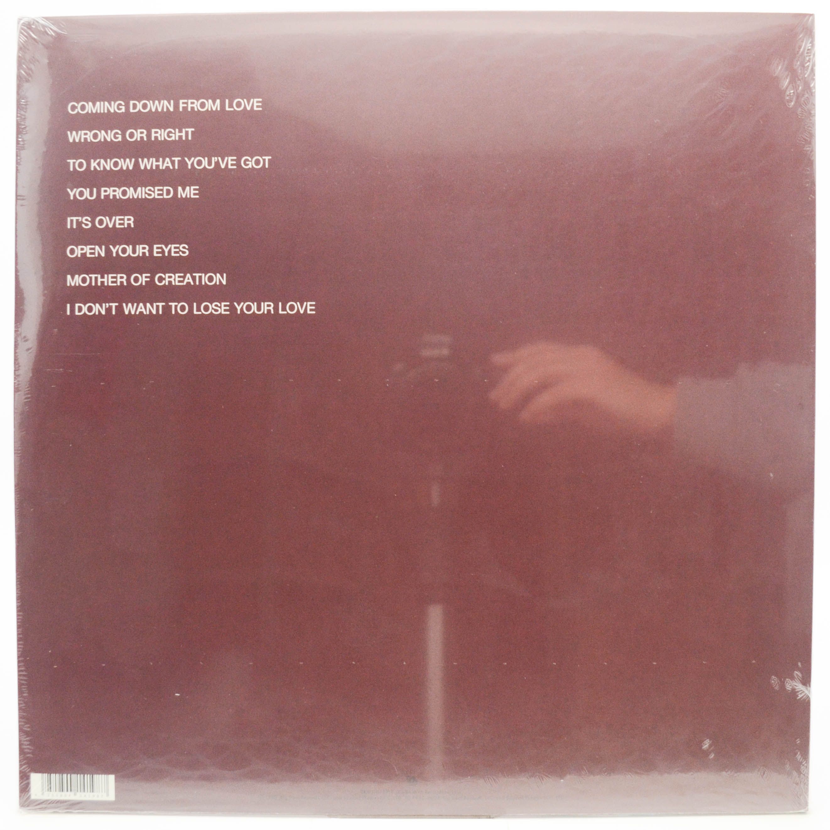 Bobby Caldwell — Cat In The Hat (UK), 1980