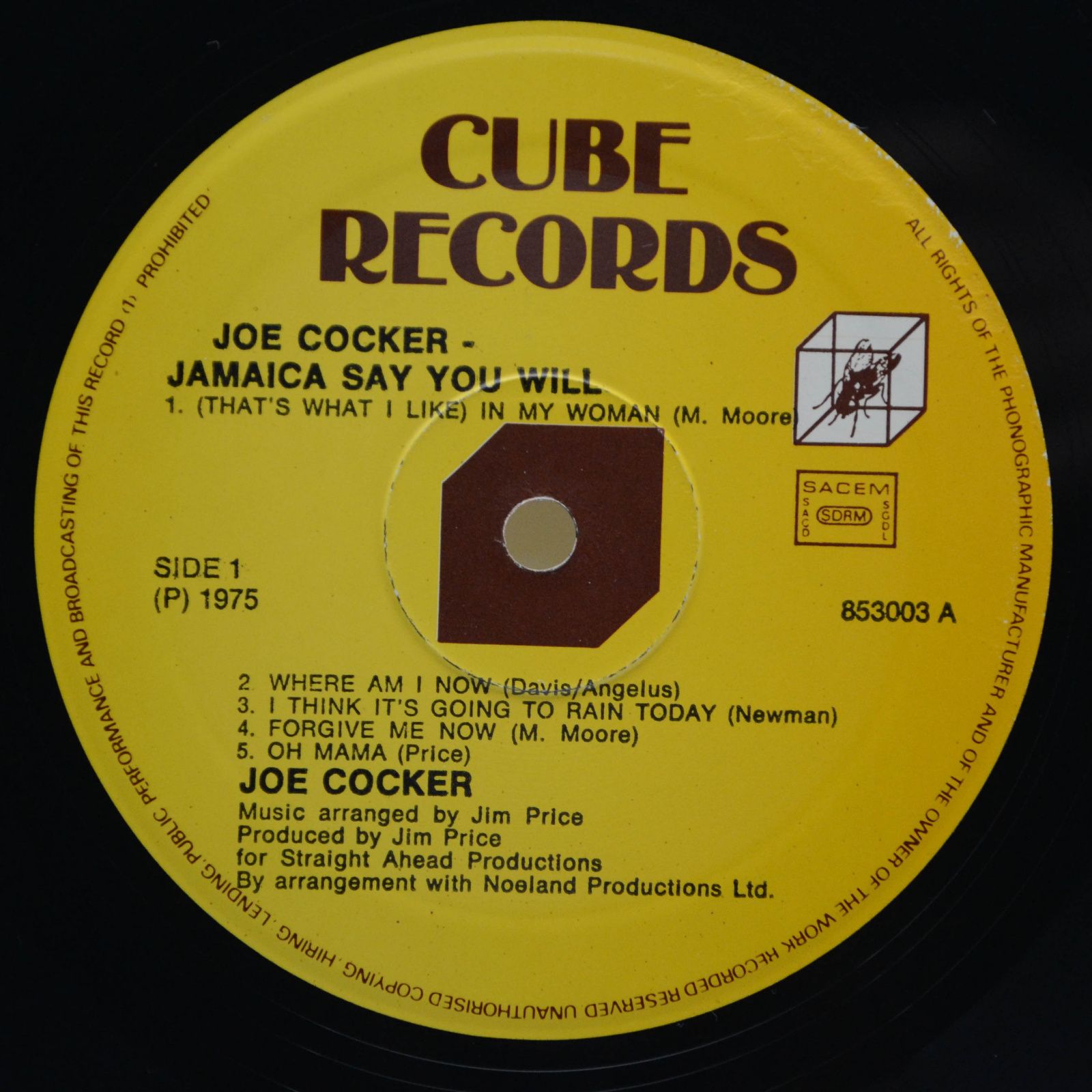 Joe Cocker — Jamaica Say You Will, 1975