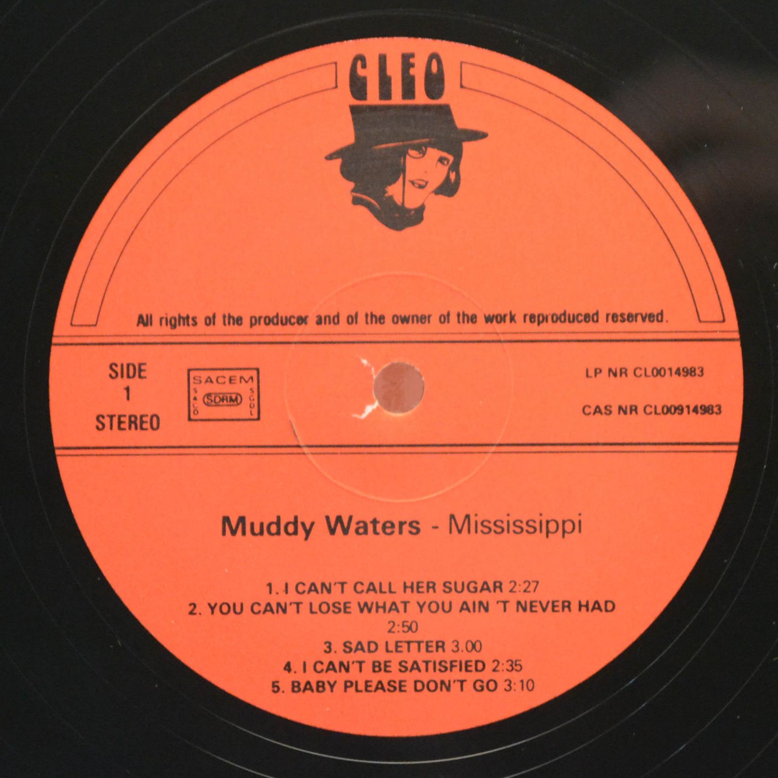 Muddy Waters — Mississippi, 1980