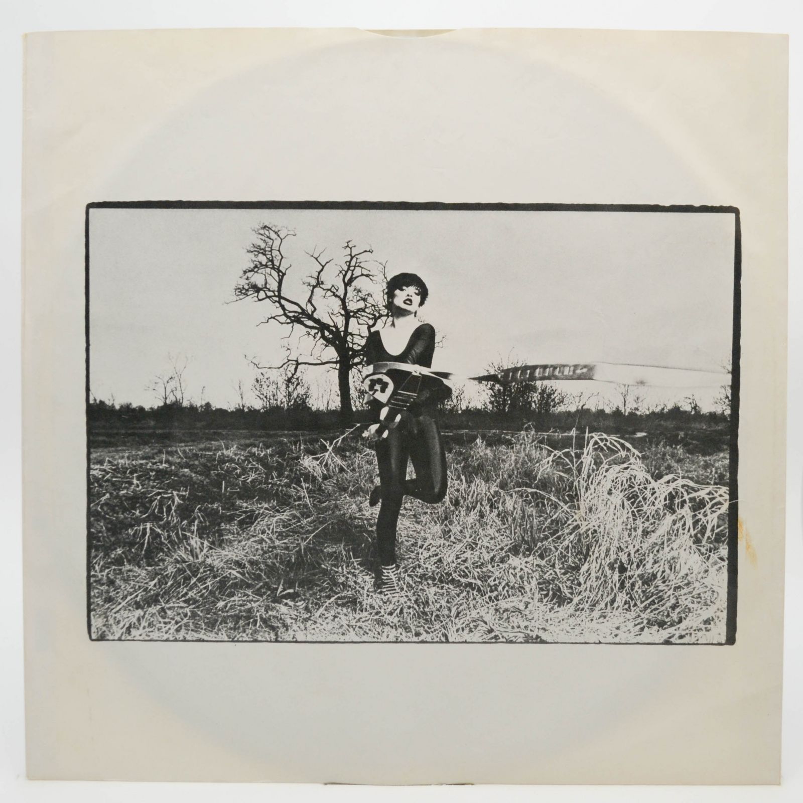 Nina Hagen Band — Nina Hagen Band, 1978