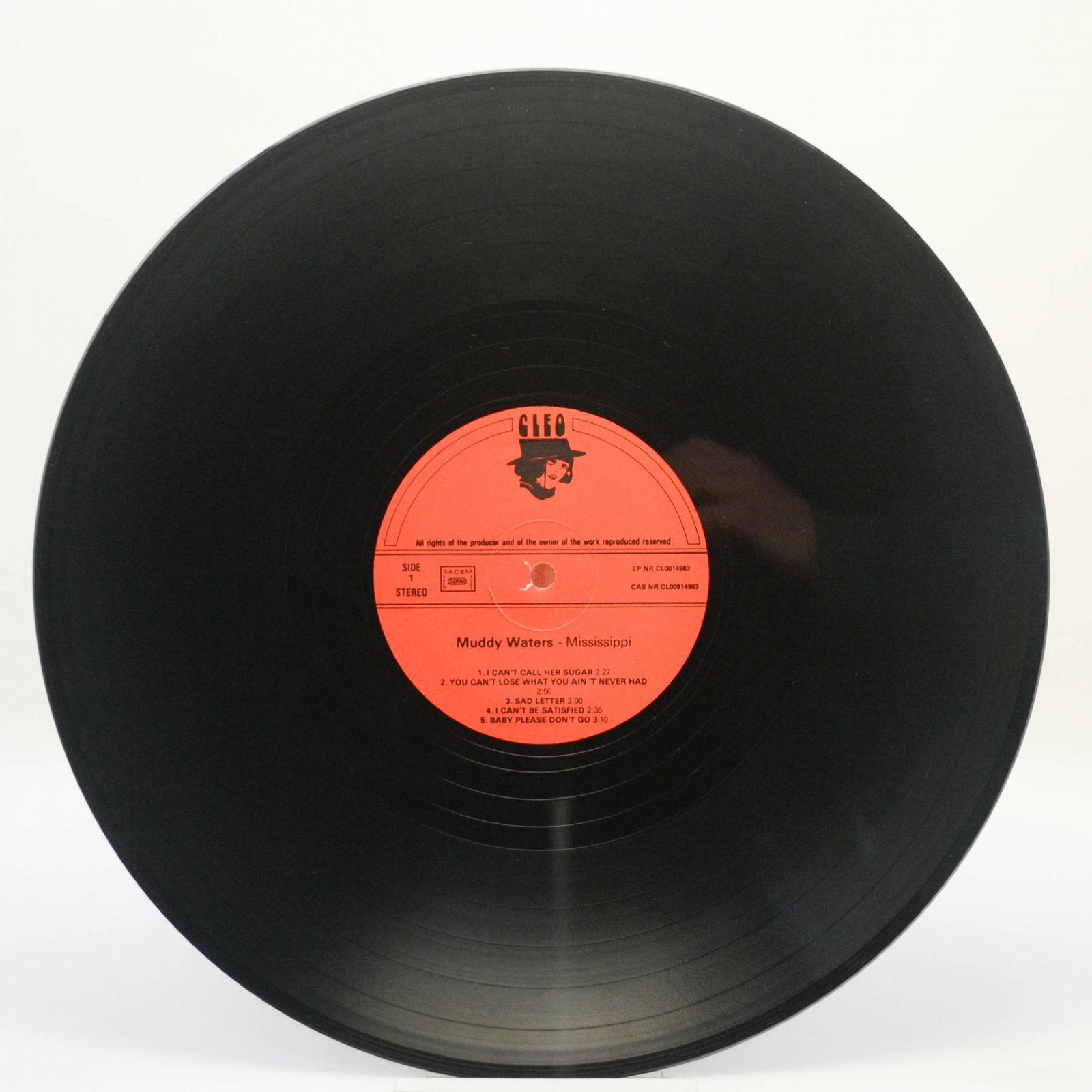 Muddy Waters — Mississippi, 1980