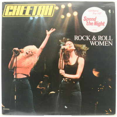 Виниловая пластинка Rock & Roll Women, 1981