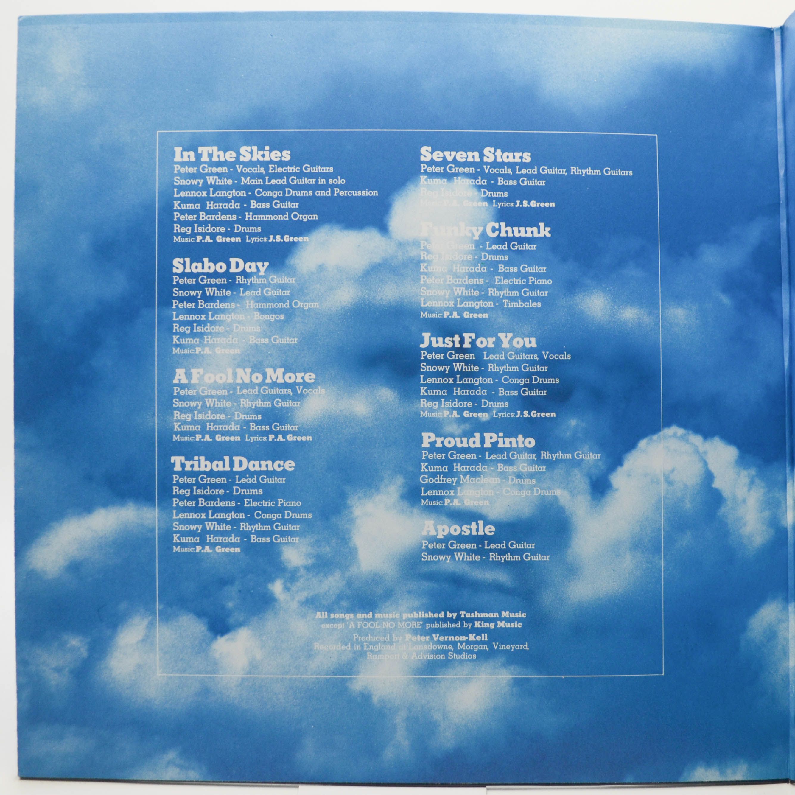 Peter Green — In The Skies, 1979