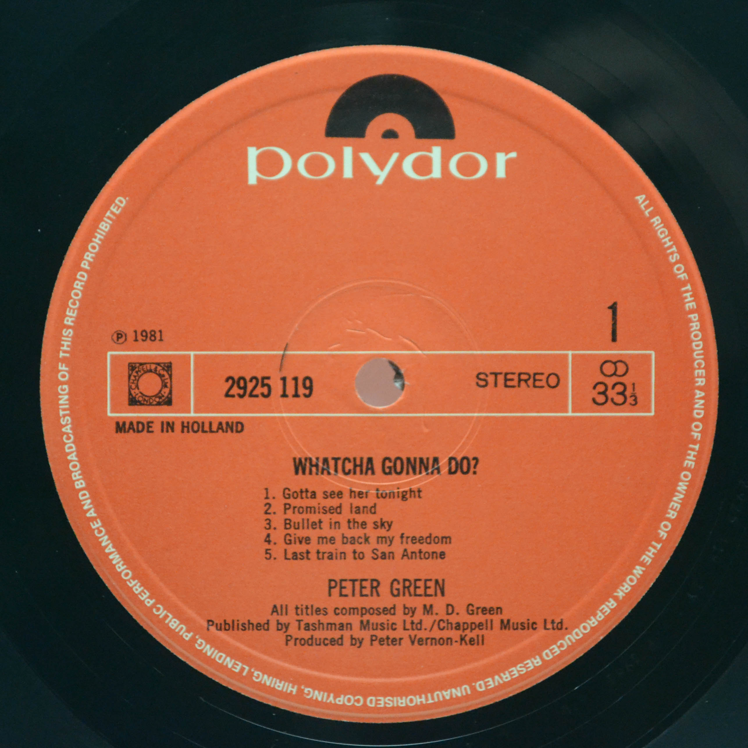 Peter Green — Whatcha Gonna Do?, 1981