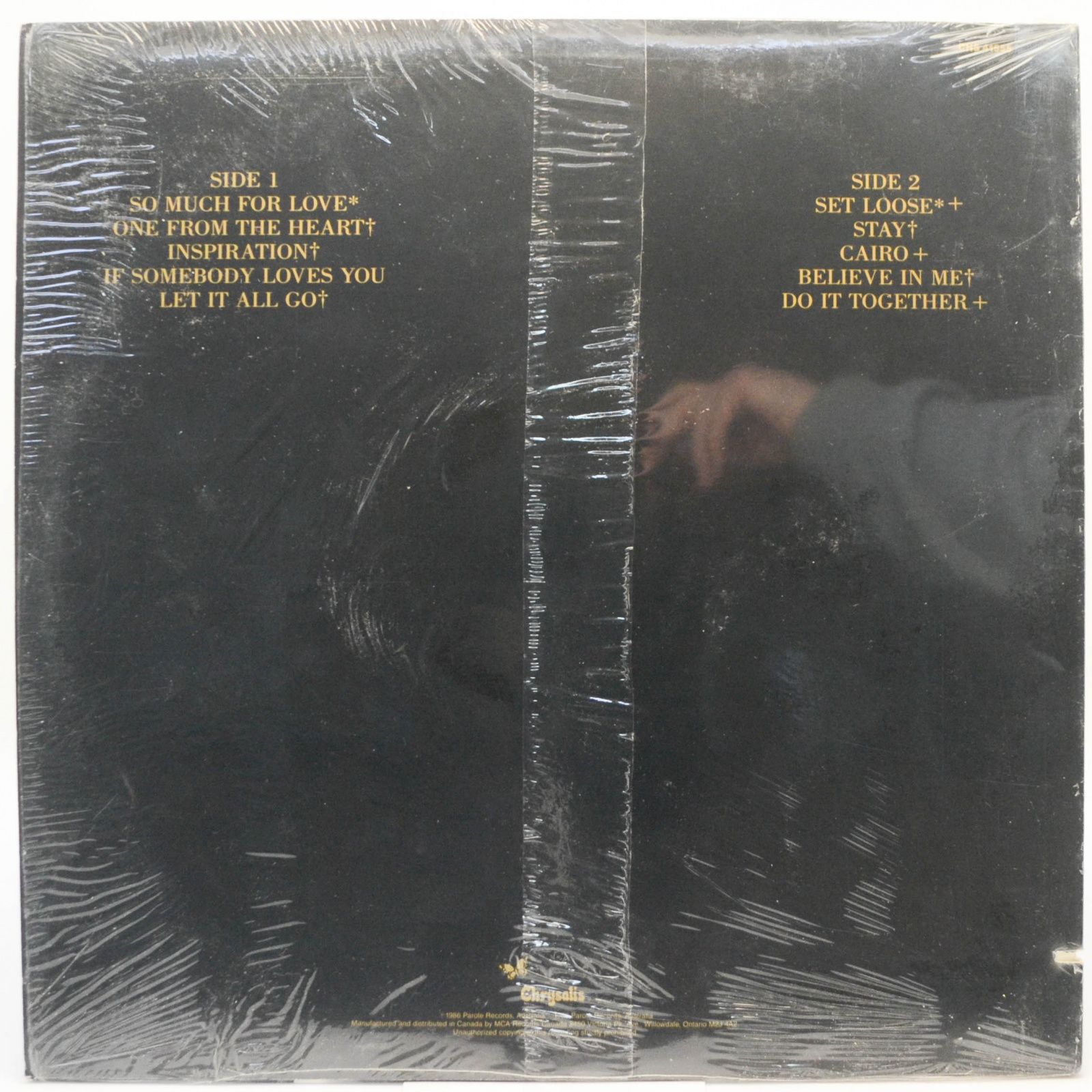 Venetians — Calling In The Lions, 1986