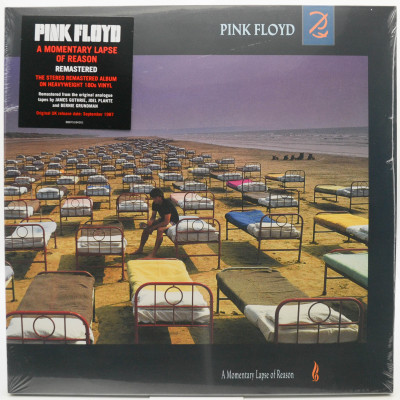 A Momentary Lapse Of Reason, 1987