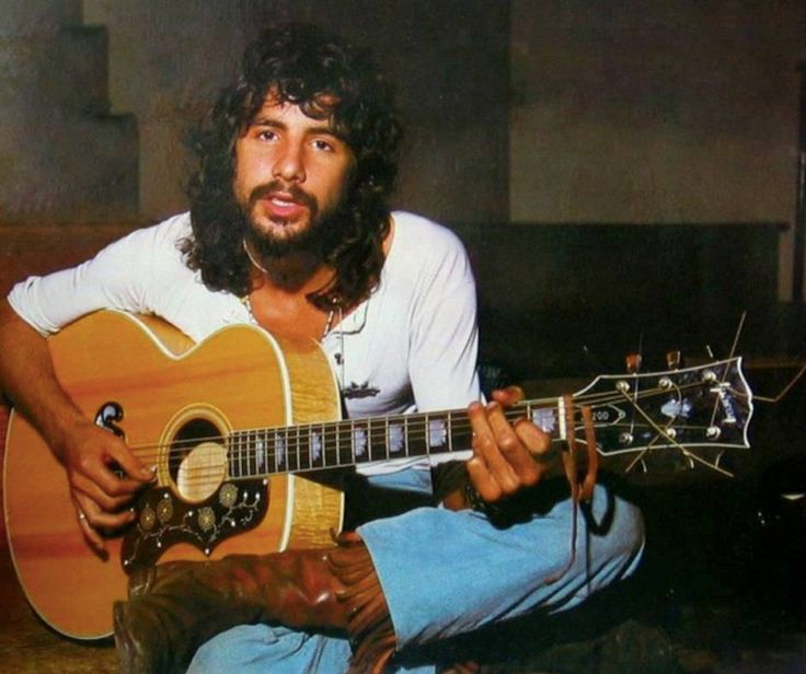 Cat Stevens