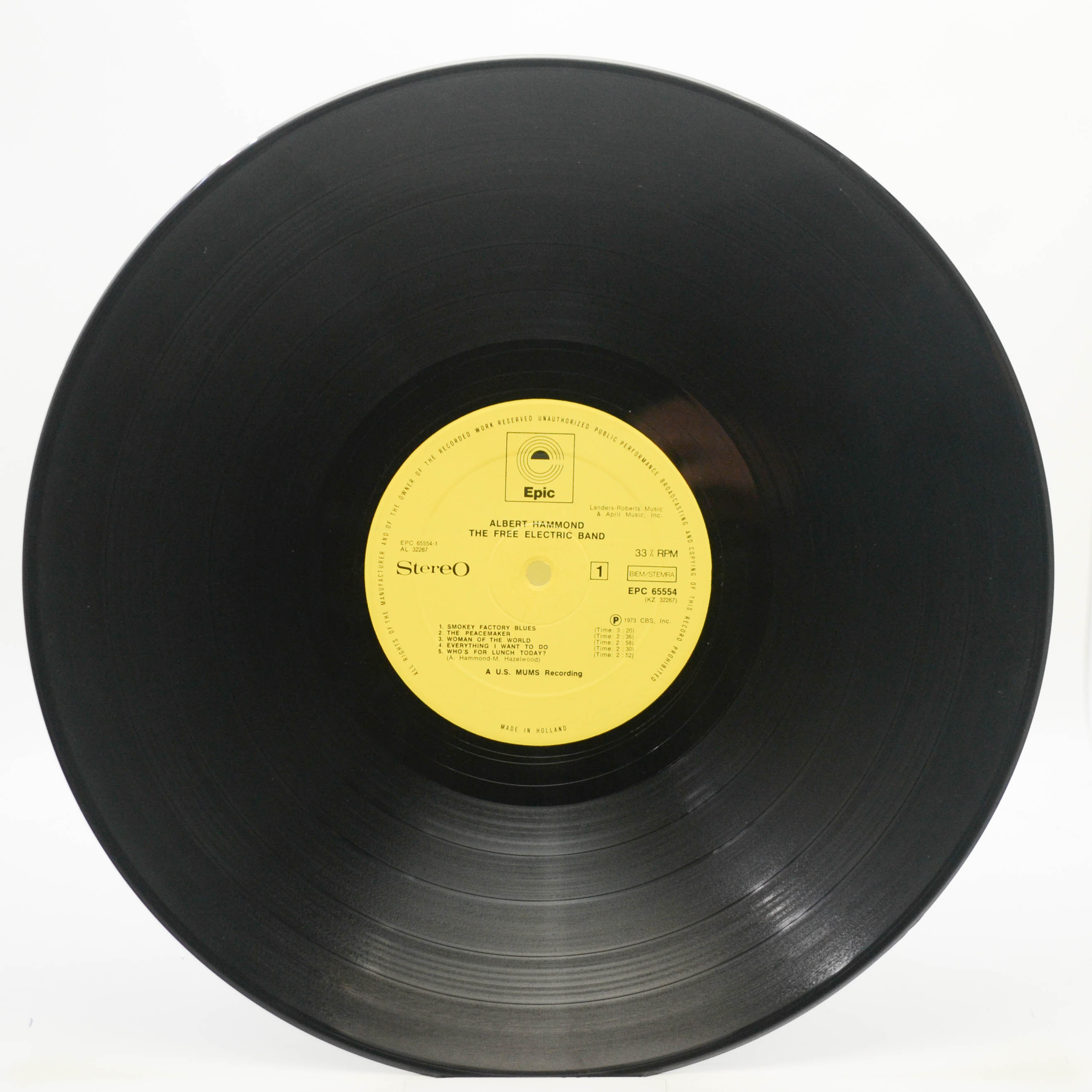 Albert Hammond — The Free Electric Band, 1973