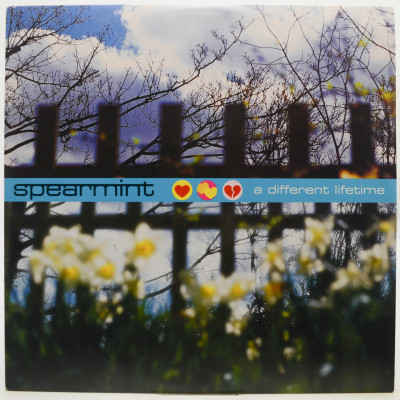 Виниловая пластинка A Different Lifetime (2LP), 2001