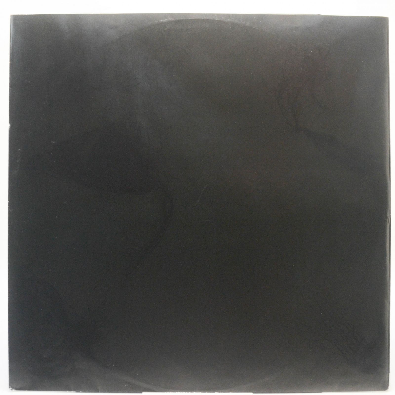 Björk — Medúlla (2LP), 2004