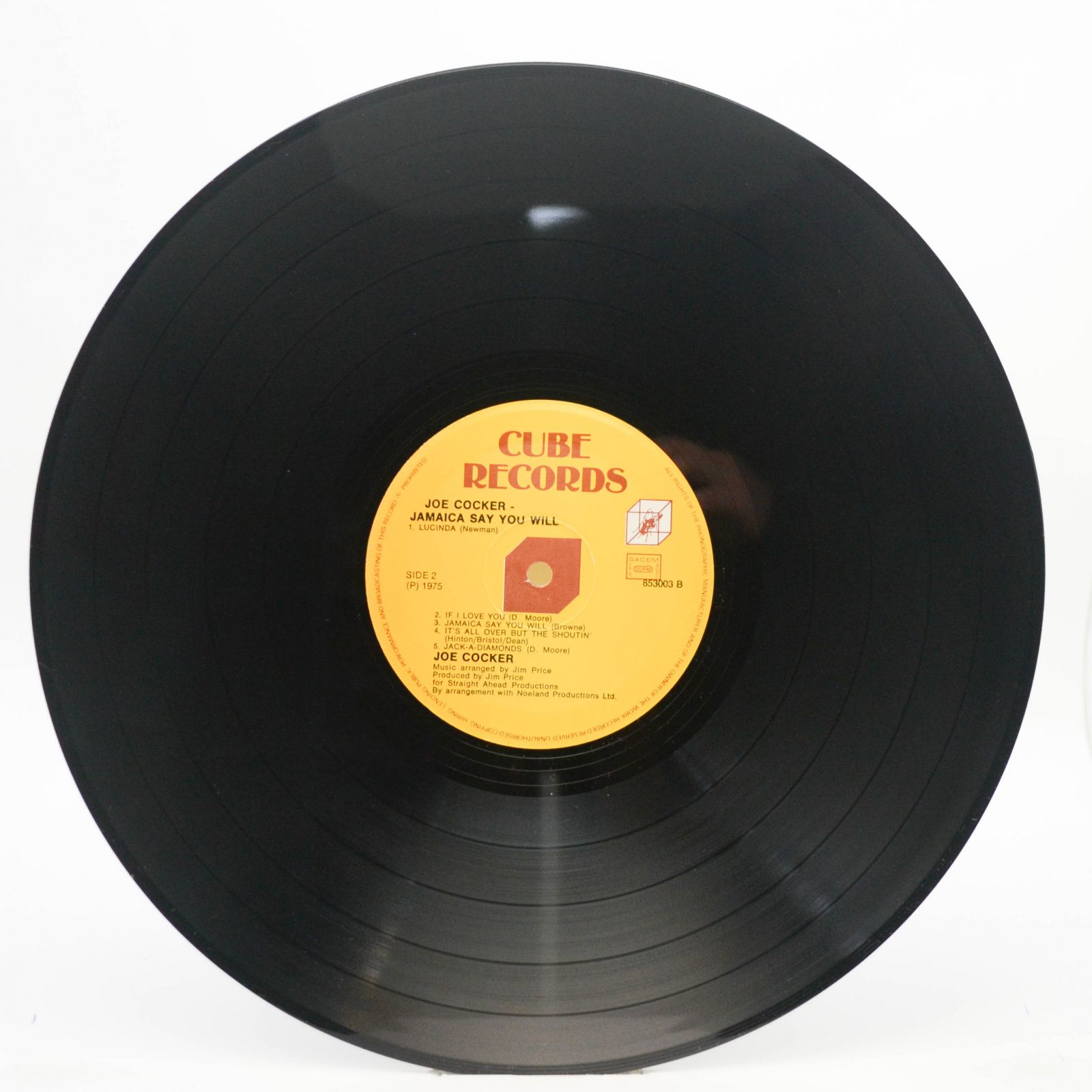 Joe Cocker — Jamaica Say You Will, 1975