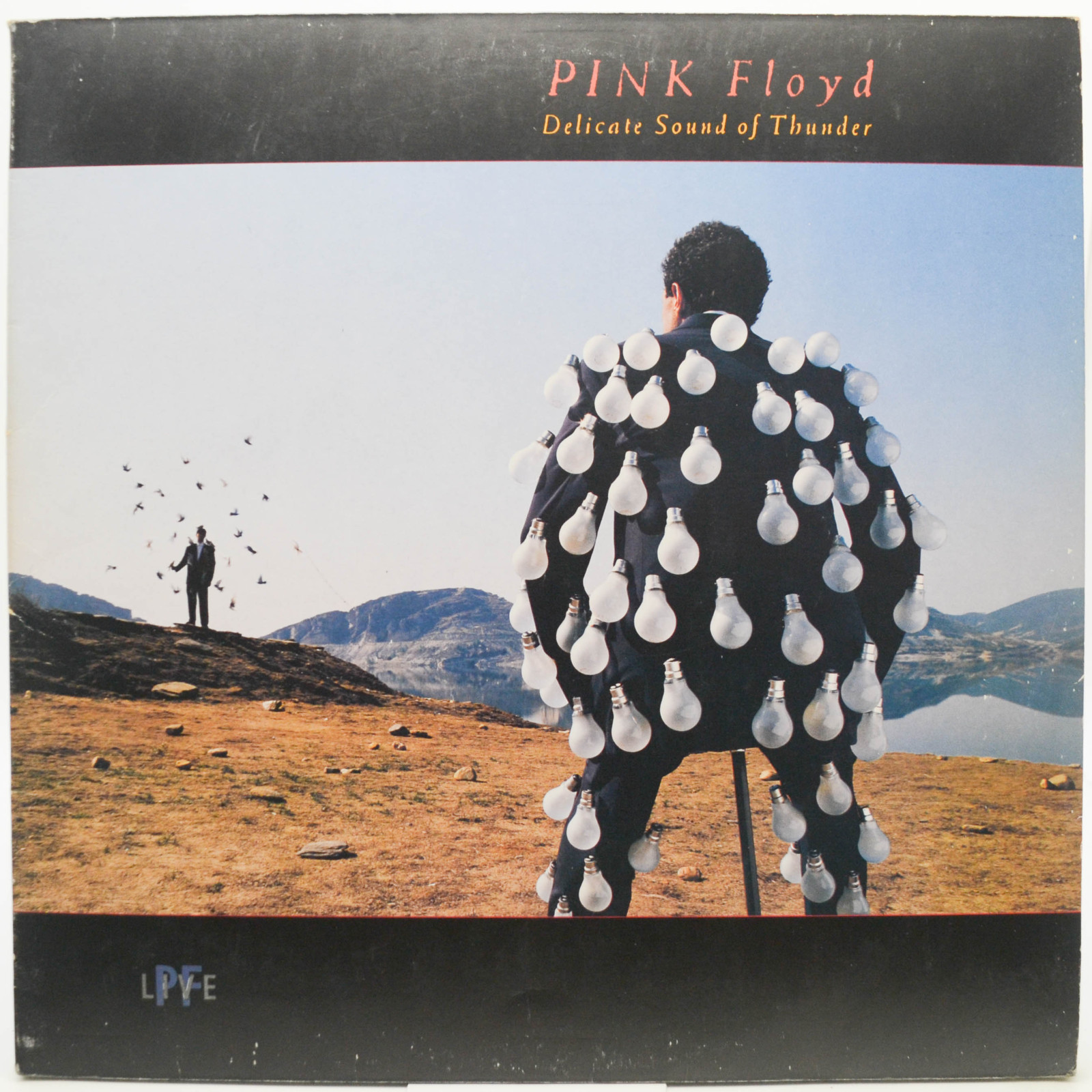 Pink Floyd — Delicate Sound Of Thunder (2LP), 1988