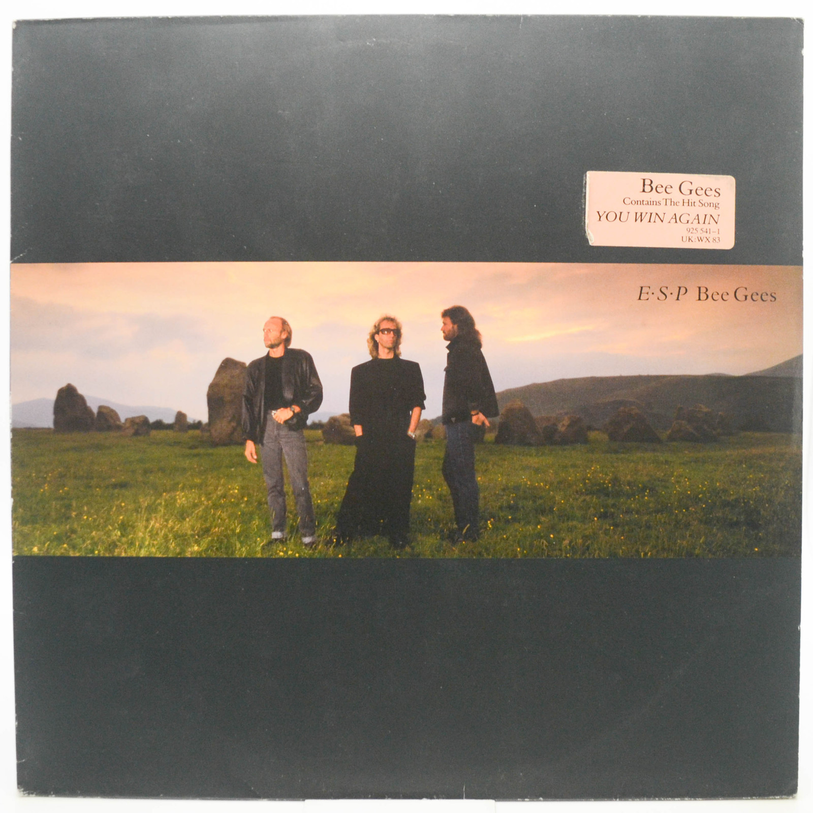 Bee Gees — E·S·P, 1987