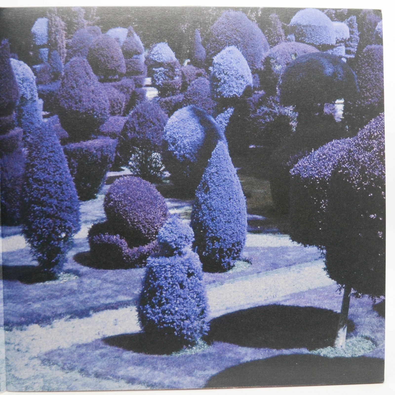 George Harrison — Brainwashed, 2002