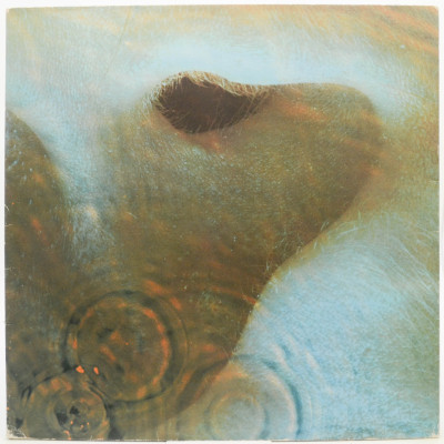 Виниловая пластинка Meddle, 1971