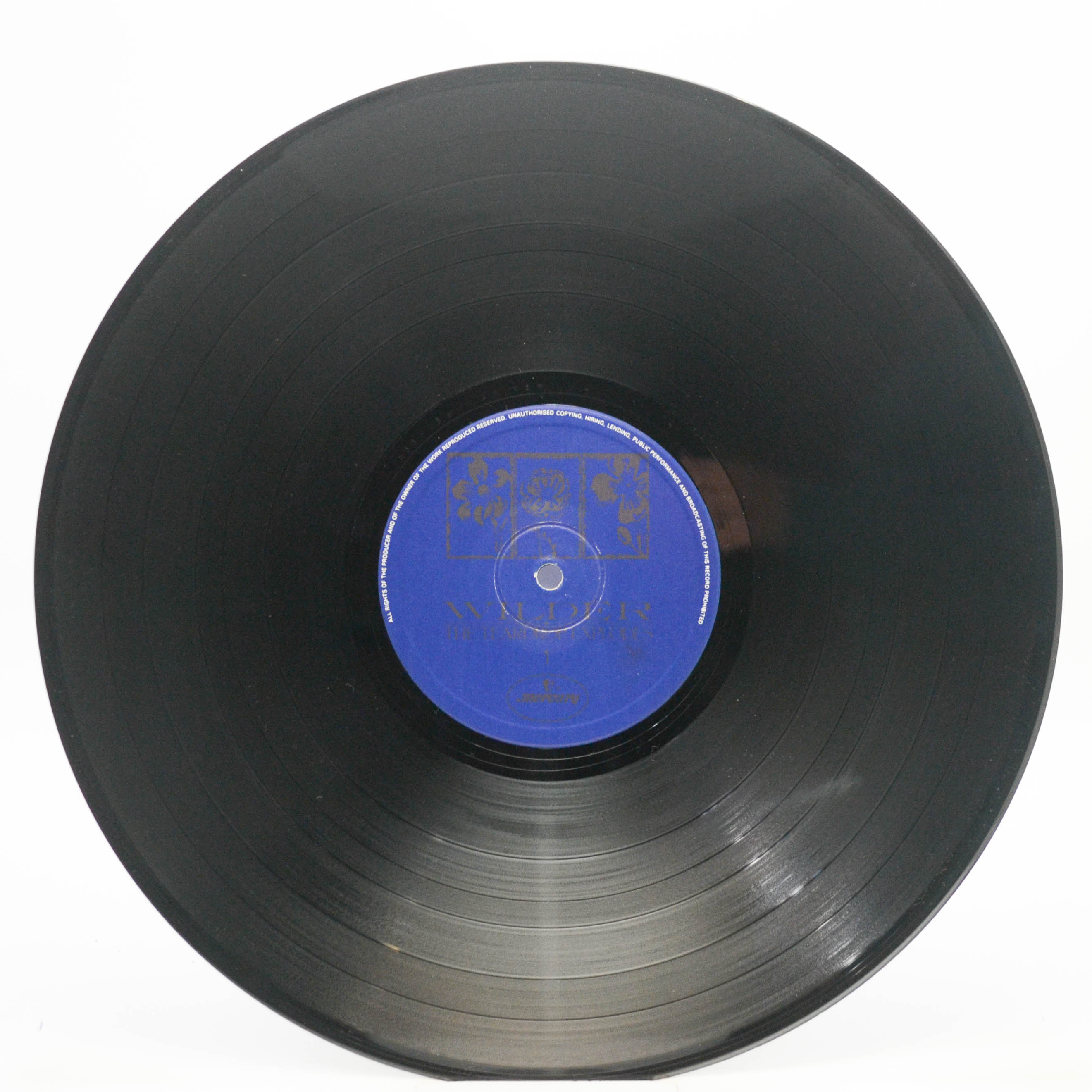 Teardrop Explodes — Wilder (1-st, UK), 1981