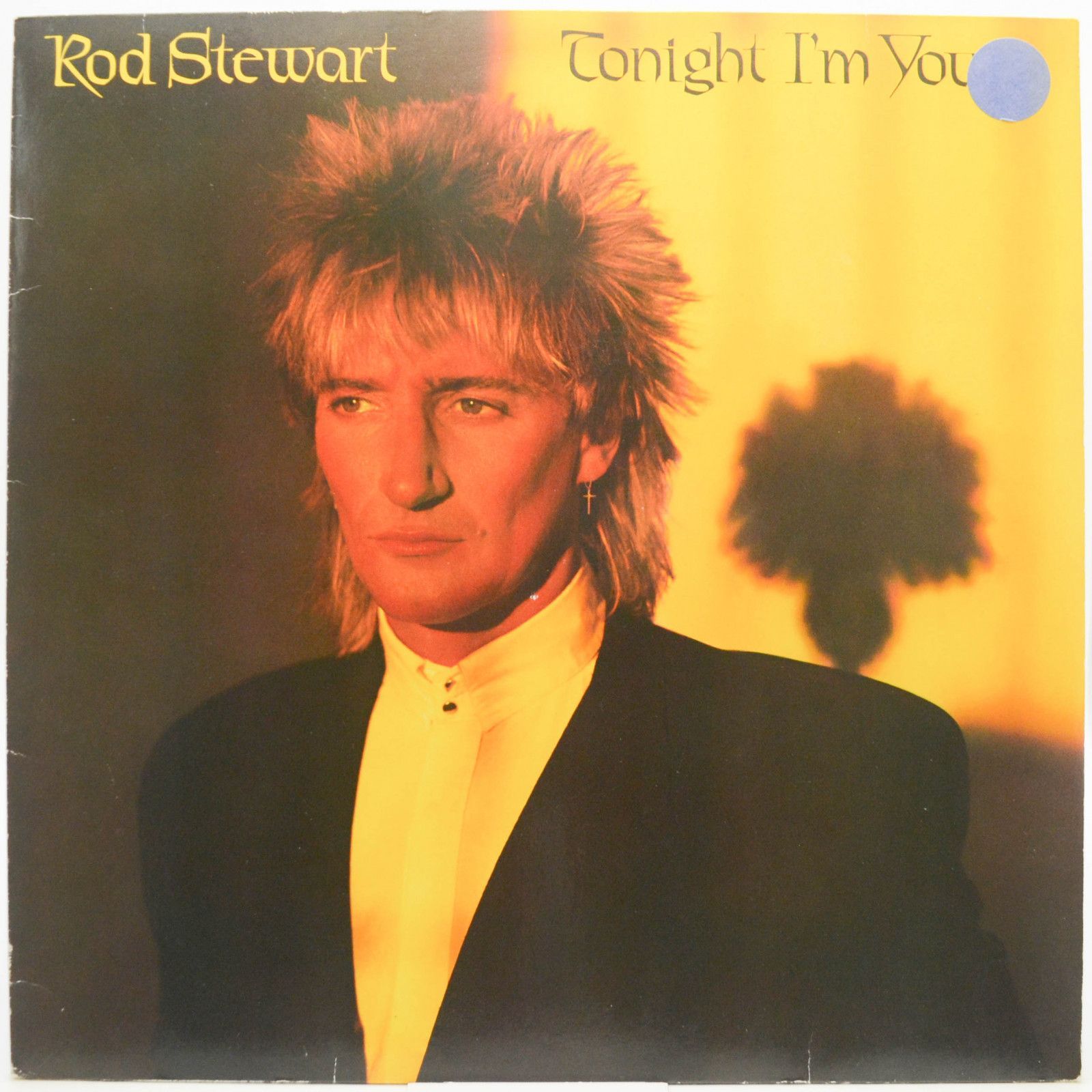 Rod Stewart — Tonight I'm Yours, 1981