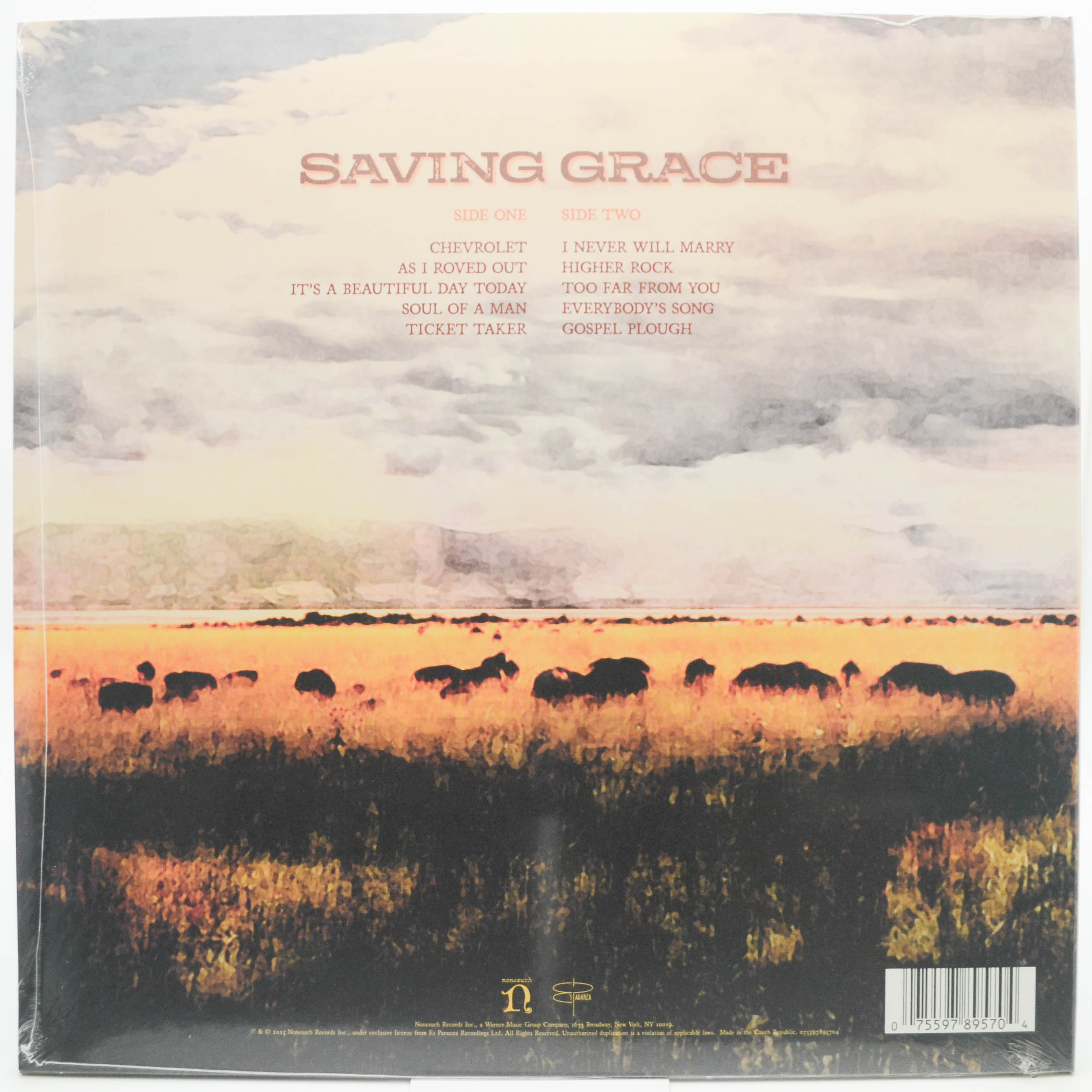 Robert Plant With Suzi Dian — Saving Grace, 2025