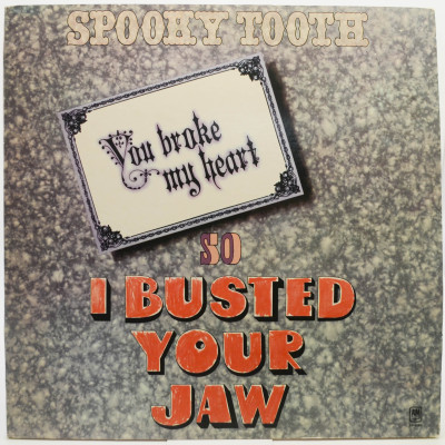 Виниловая пластинка You Broke My Heart So I Busted Your Jaw, 1973