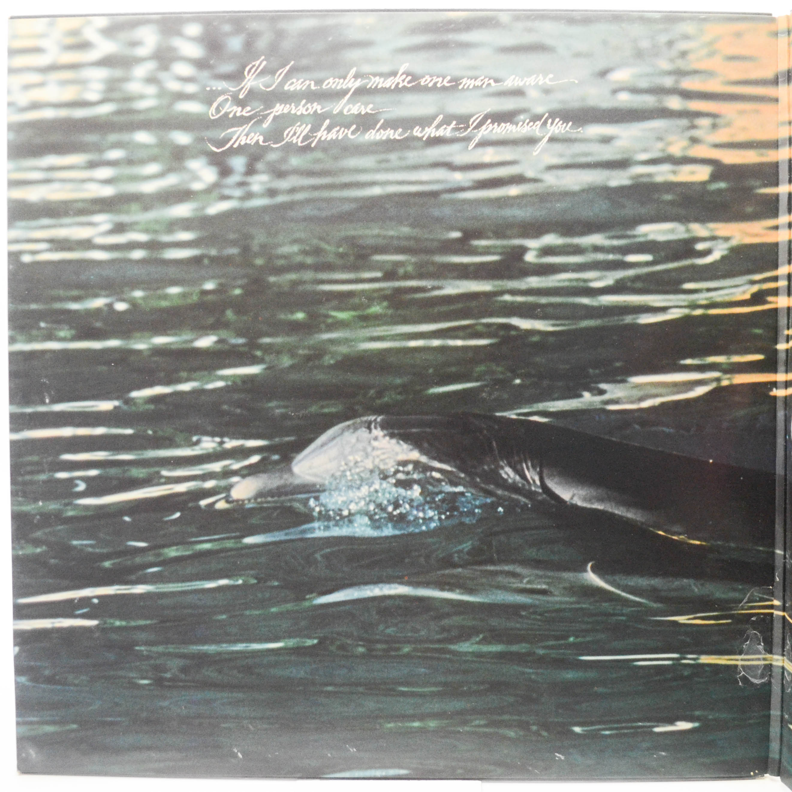 Olivia — Physical, 1981