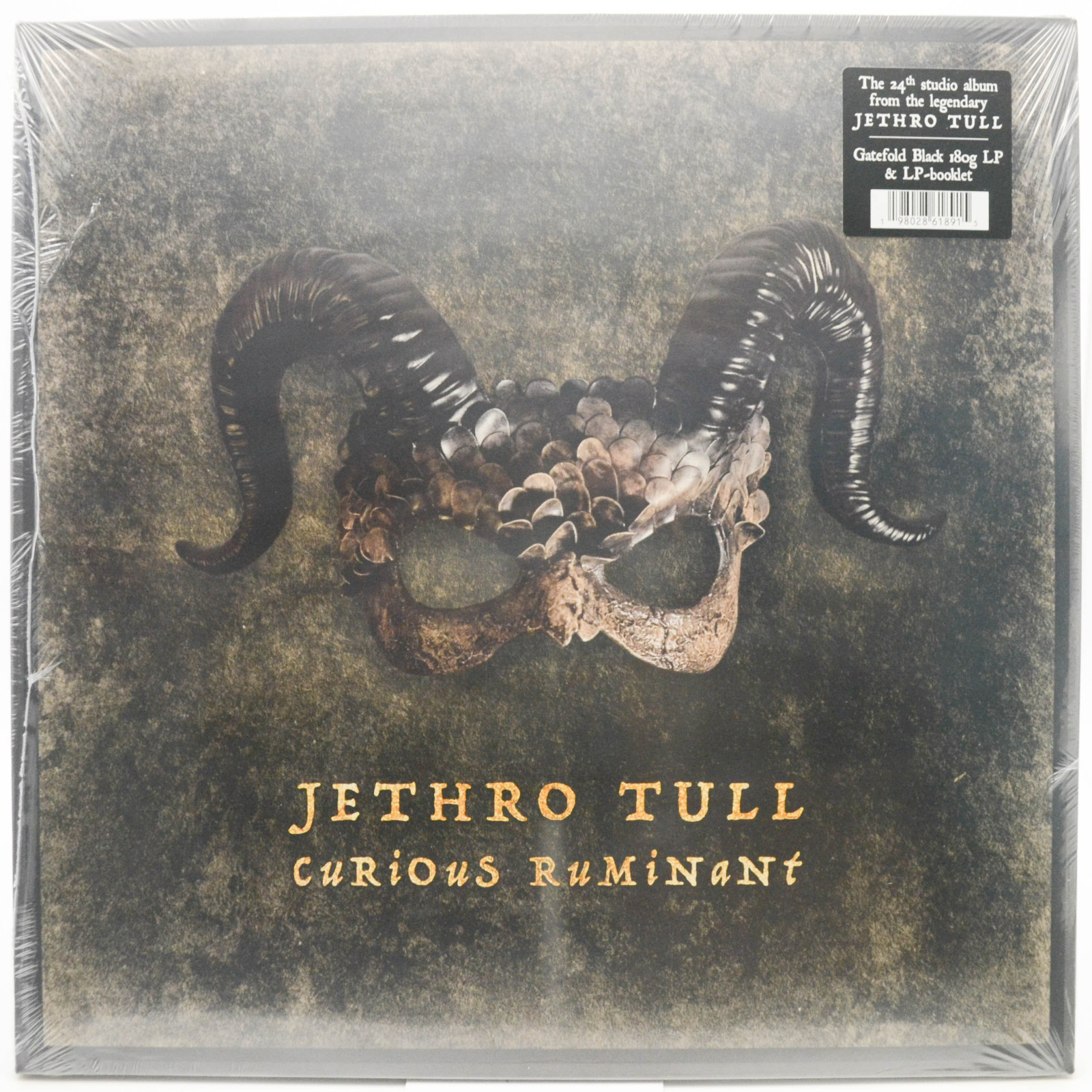 Jethro Tull — Curious Ruminant, 2025