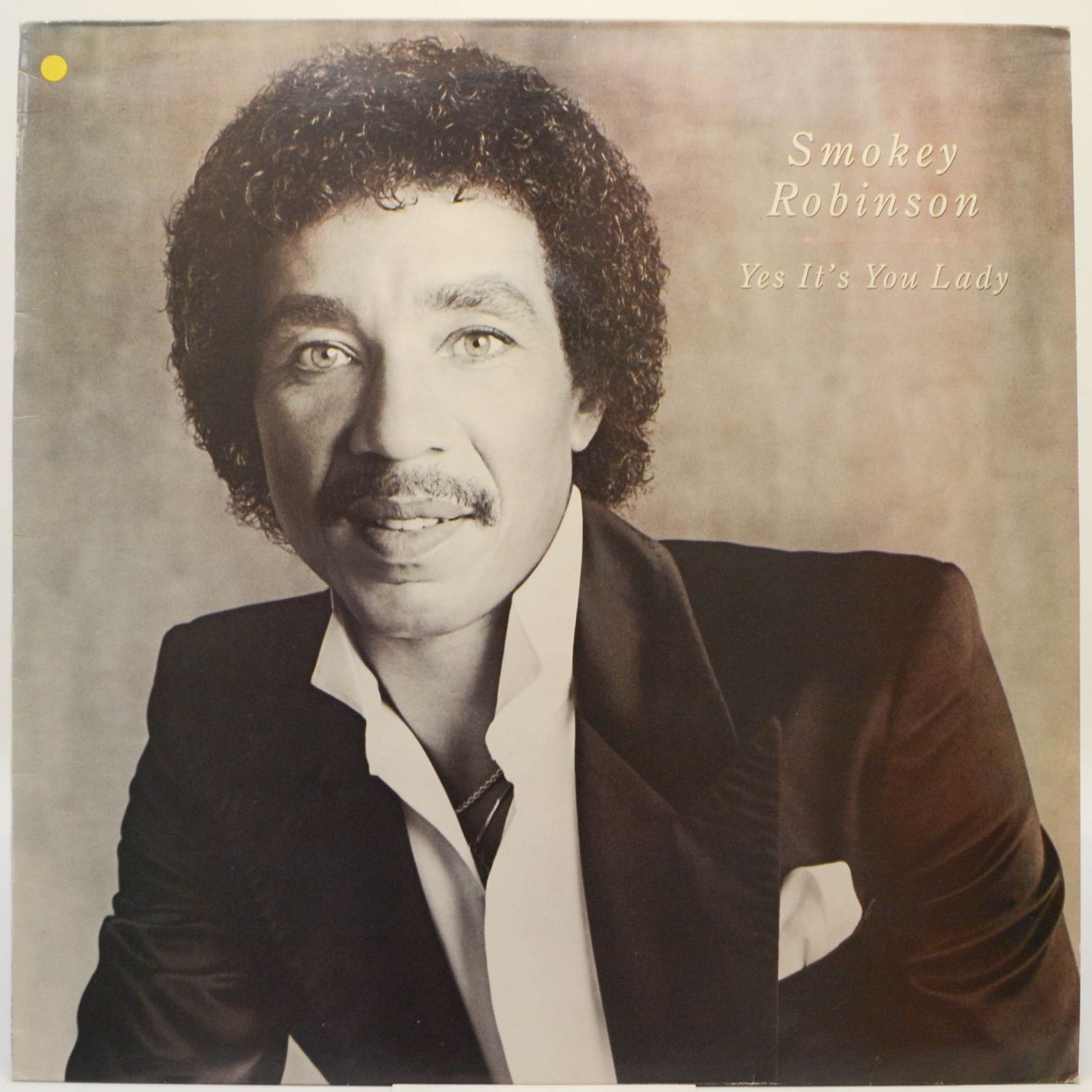 Smokey Robinson — Yes It's You Lady, 1982