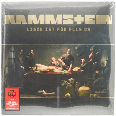 Liebe Ist Für Alle Da (2LP), 2009