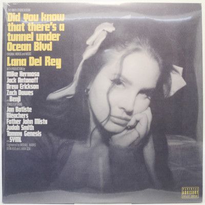 Did You Know That There's A Tunnel Under Ocean Blvd (2LP), 2023
