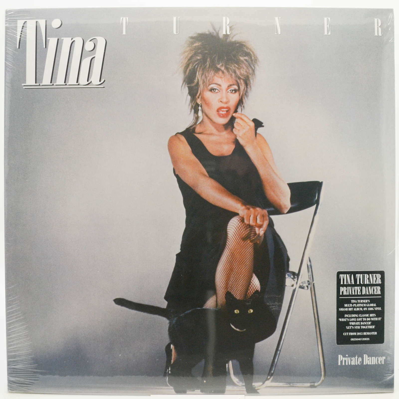 Tina Turner — Private Dancer, 1984