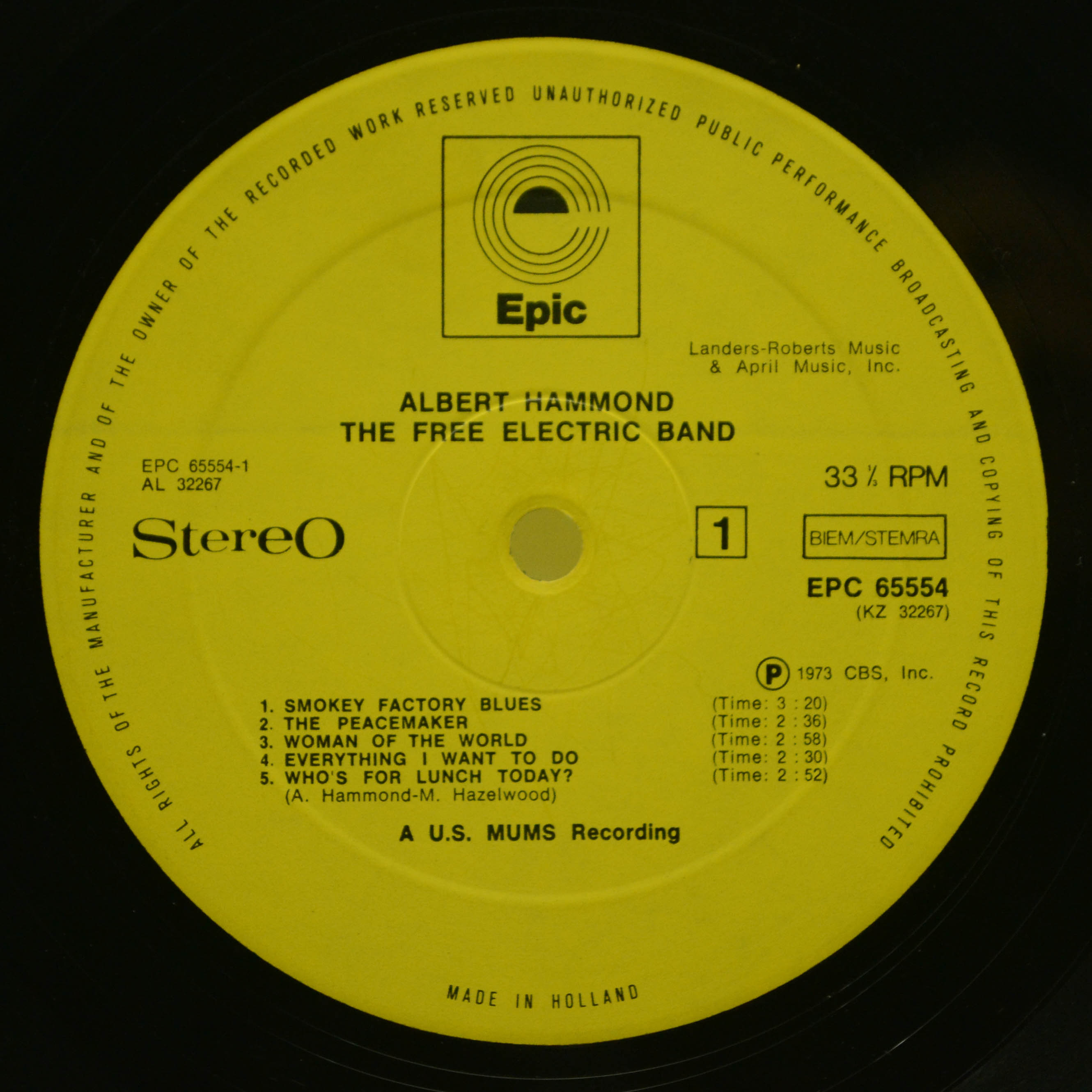 Albert Hammond — The Free Electric Band, 1973