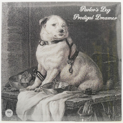 Виниловая пластинка Prodigal Dreamer, 2018