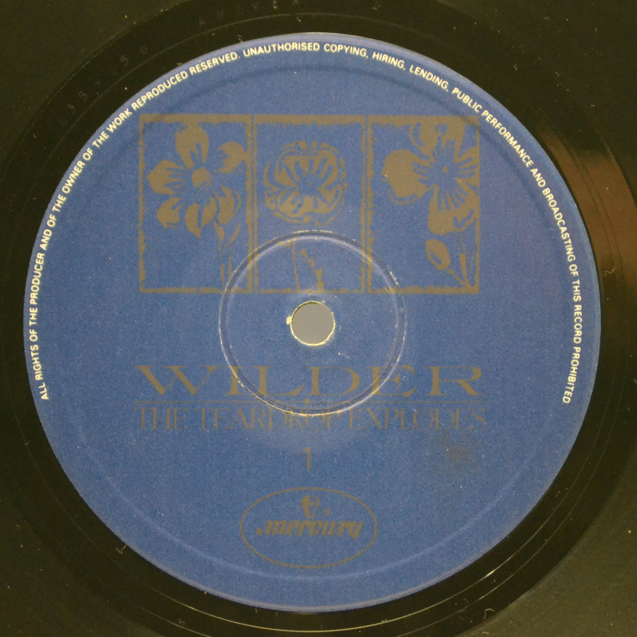 Teardrop Explodes — Wilder (1-st, UK), 1981
