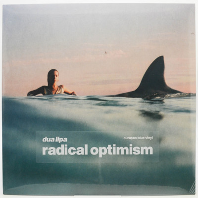 Radical Optimism, 2024