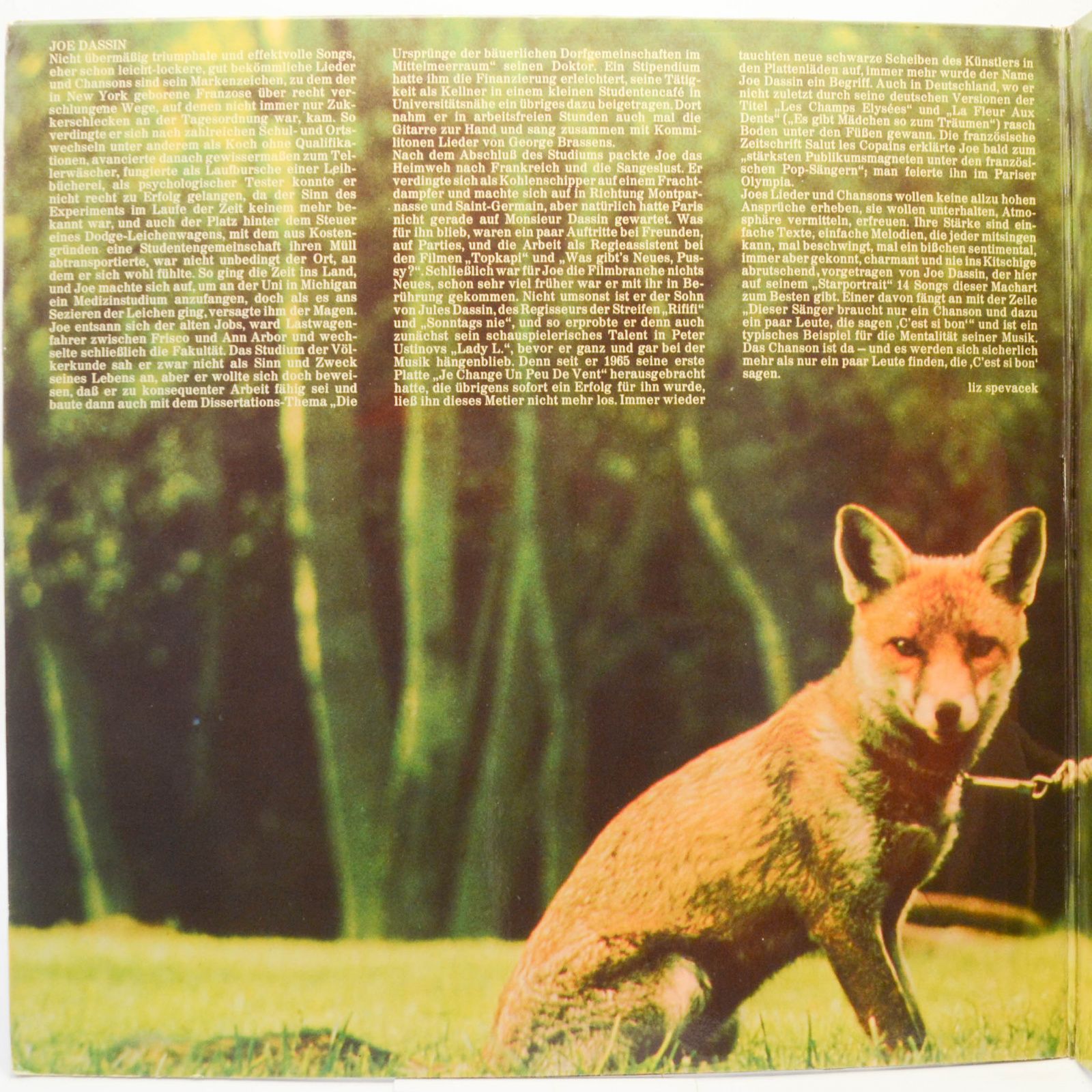 Joe Dassin — Starportrait, 1973
