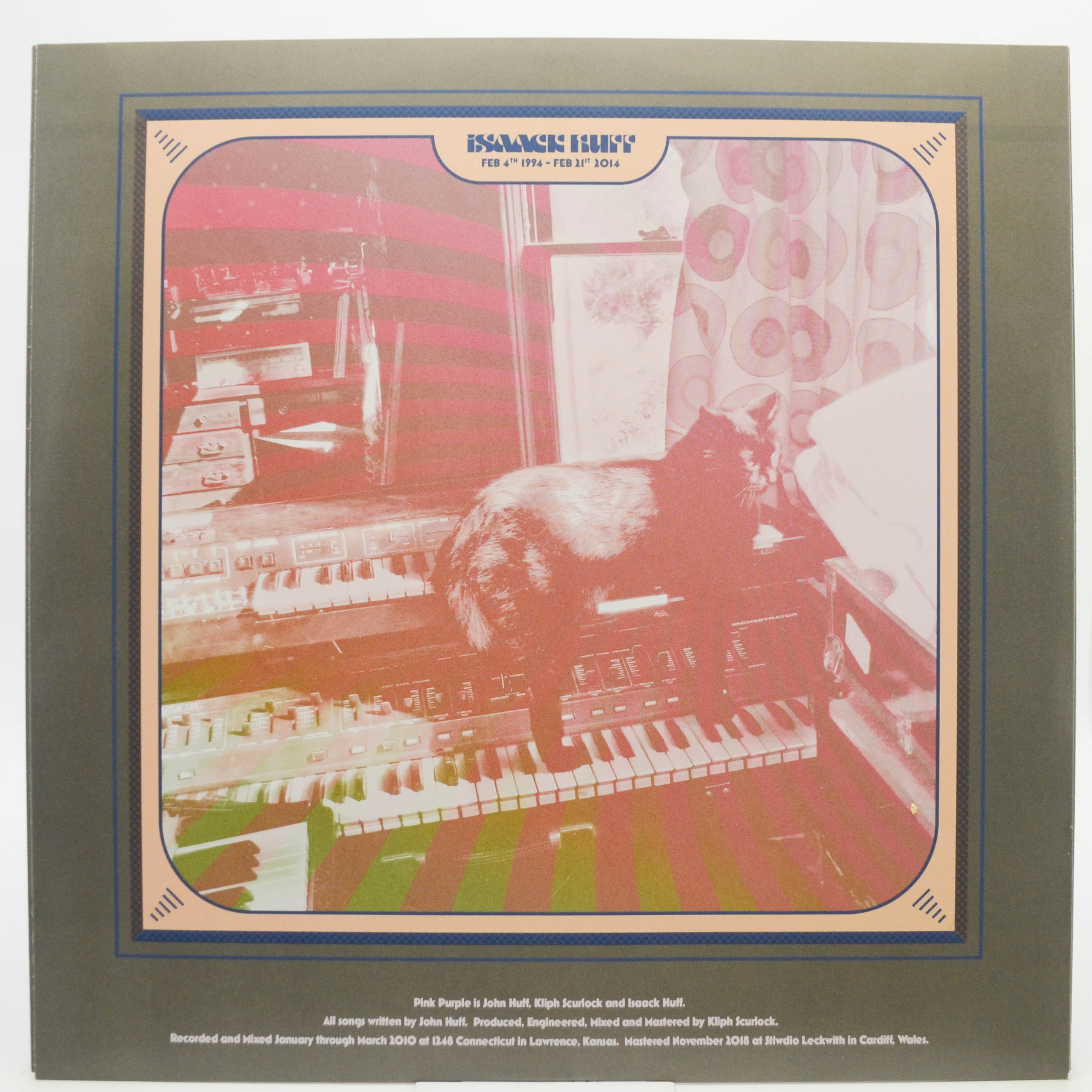 Pink Purple — Red (USA), 2019