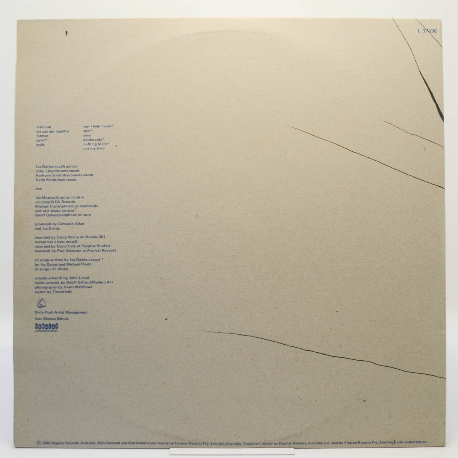 Flowers — Icehouse, 1980