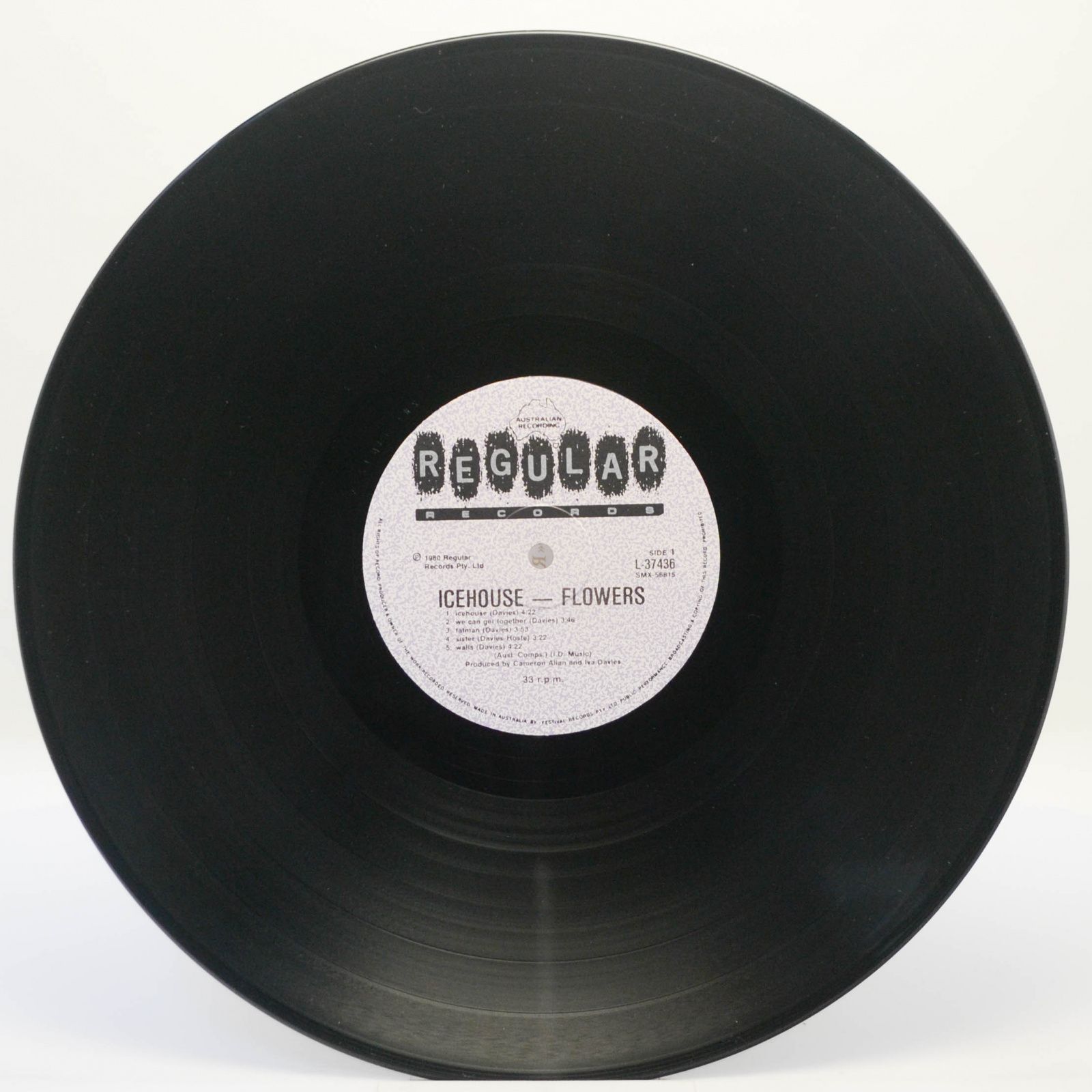 Flowers — Icehouse, 1980