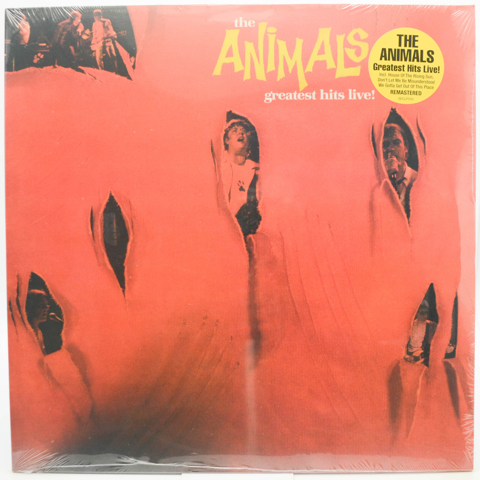 Animals — Greatest Hits Live!, 1984