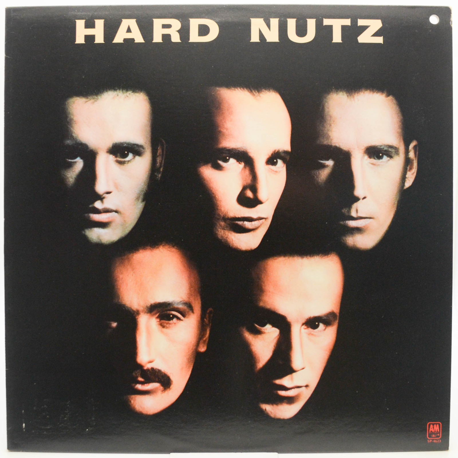 Nutz — Hard Nutz (USA), 1977