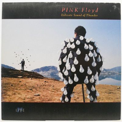 Delicate Sound Of Thunder