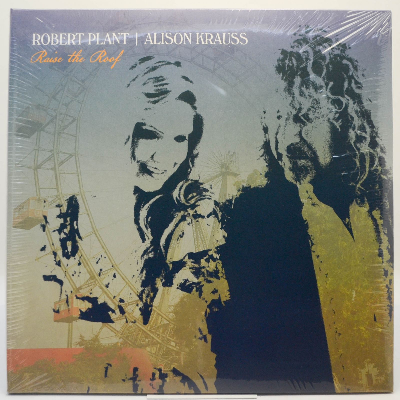 Raise The Roof (2LP), 2021