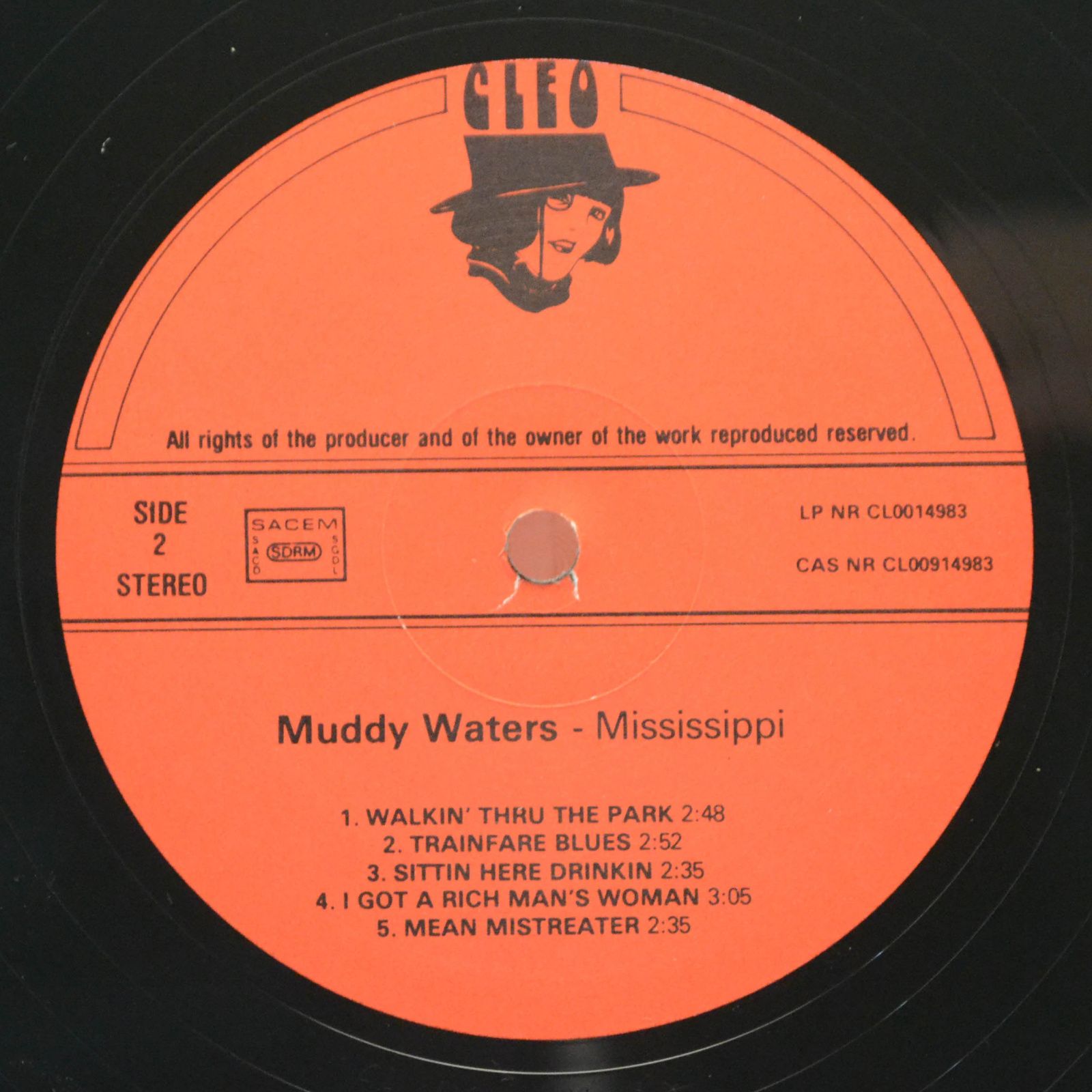Muddy Waters — Mississippi, 1980