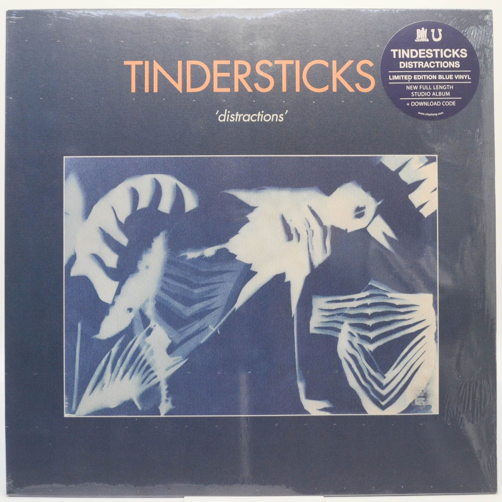 Tindersticks — Distractions, 2021