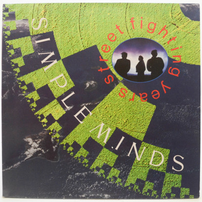 Виниловая пластинка Street Fighting Years, 1989